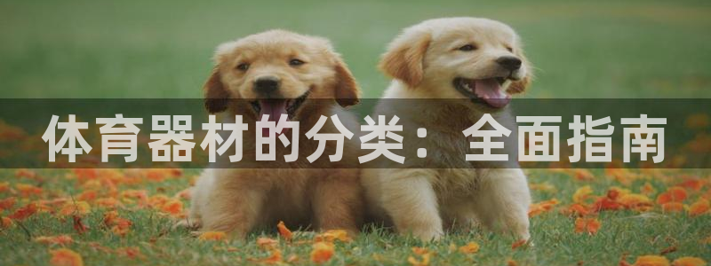 耀世平台注册登录不上：体育器材的分类：全面指南