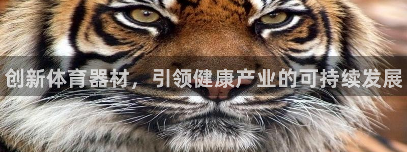 耀世集团员工福利待遇：创新体育器材，引领健康产业的可持续发展