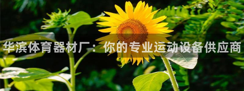 耀世娱乐注册开户要多久：华滨体育器材厂：你的专业运动