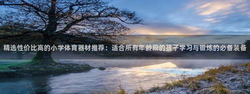 耀世国际平台正规吗可靠吗可信吗：精选性价比高的小学体