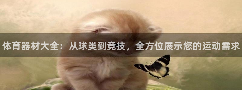 耀世平台注册链接：体育器材大全：从球类到竞技，全方位展示您的