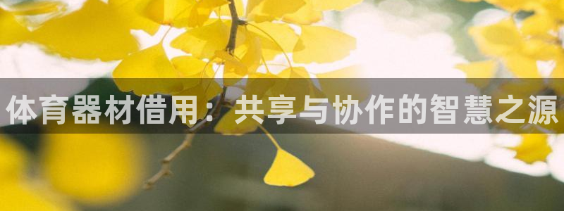 耀世平台代理怎么样可靠吗：体育器材借用：共享与协作的